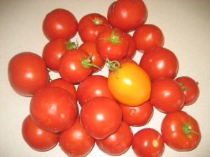 How to freeze tomatoes