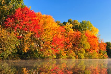 Gratitude Challenge Day 8