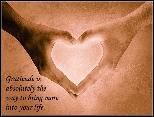 Gratitude – A 30 Day Thanksgiving Challenge!