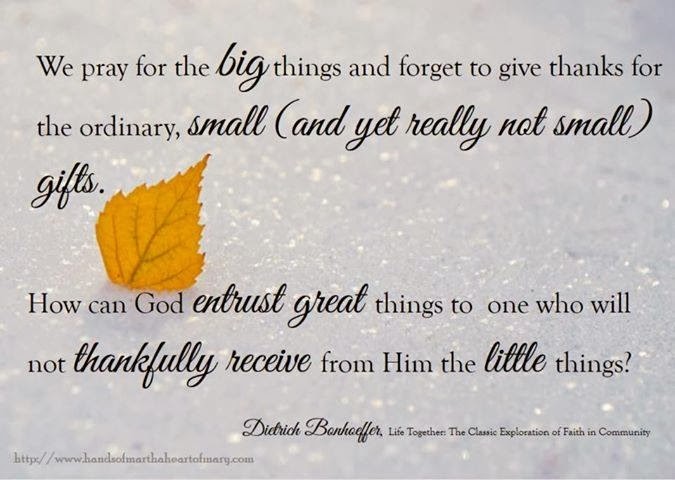 Gratitude Challenge Day 19!