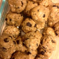 Shaklee Protein Ball Recipe