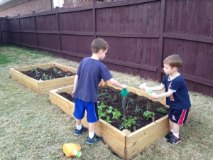 boys together garden